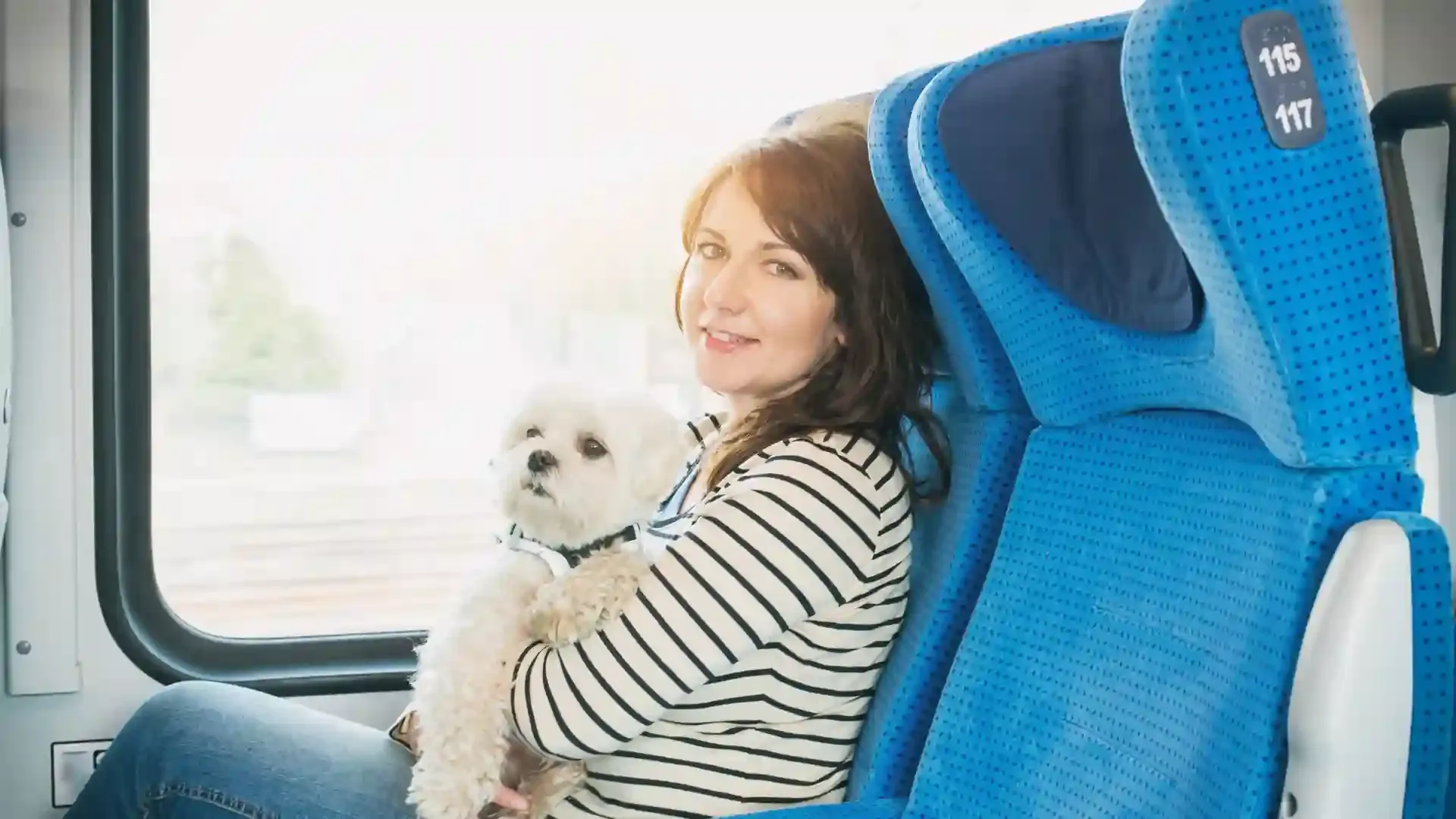 Renfe unveils its service to commute with large canines on the AVE, a new 2022 initiative