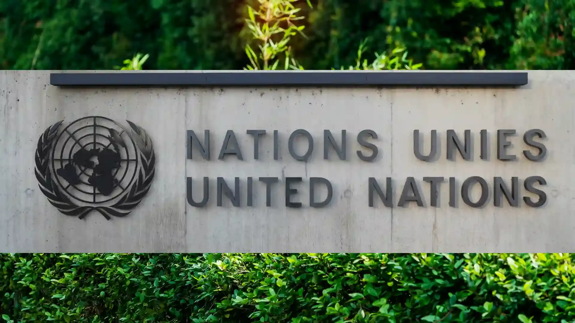 Thunes amalgamates with the United Nations Global Compact and Ecovadis initiatives in 2022