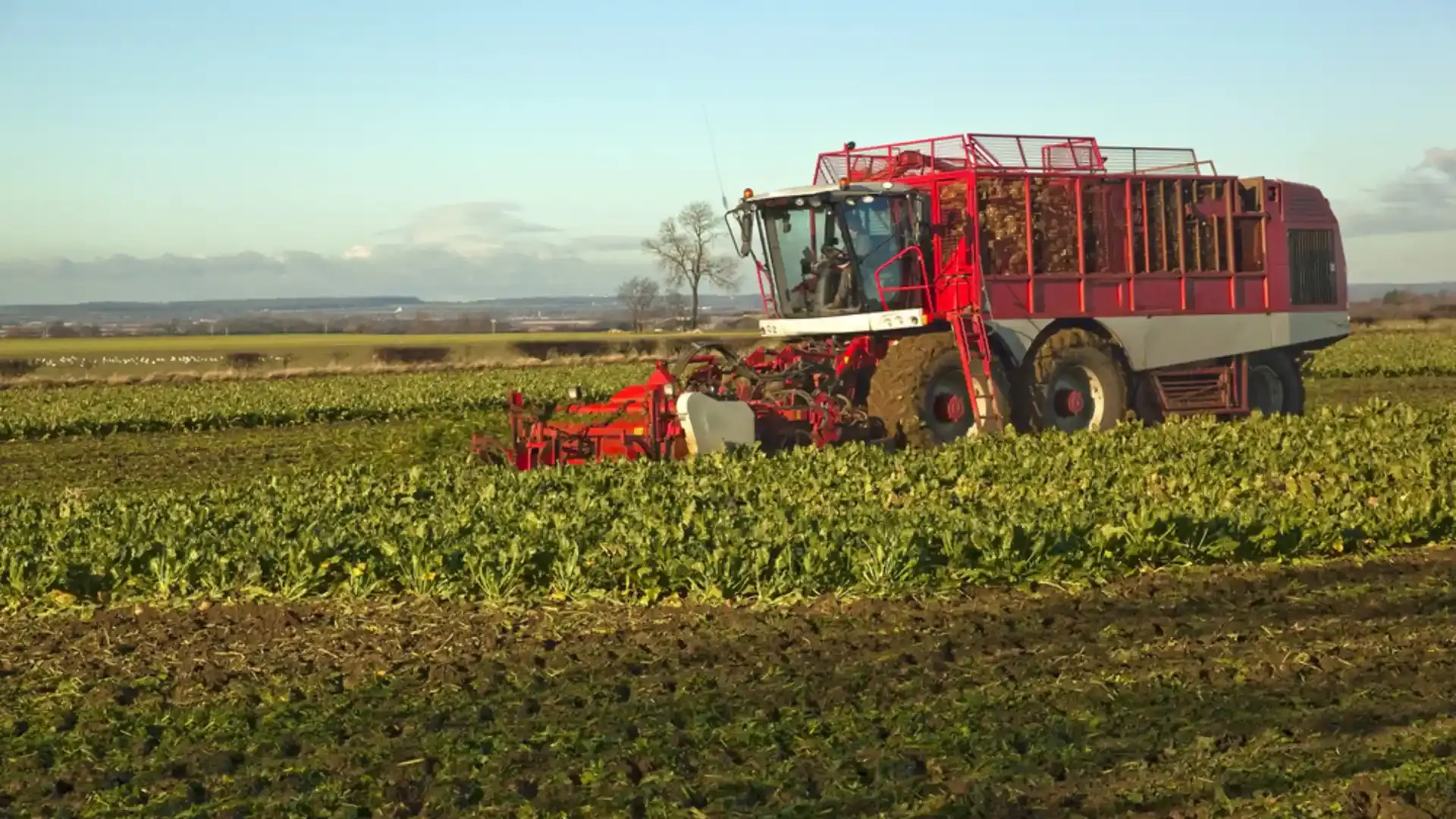 England’s Funding Cuts of £100 Million Threaten Nature-Friendly Farming Future