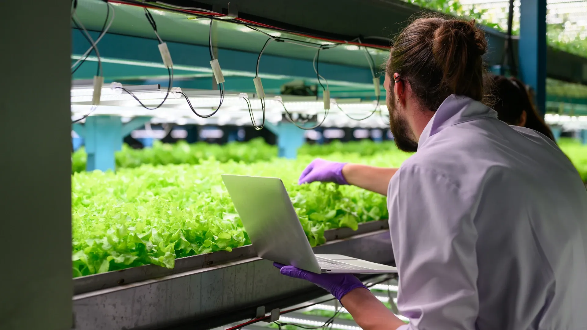 Top 10 Agrotech Innovations of 2025-2026