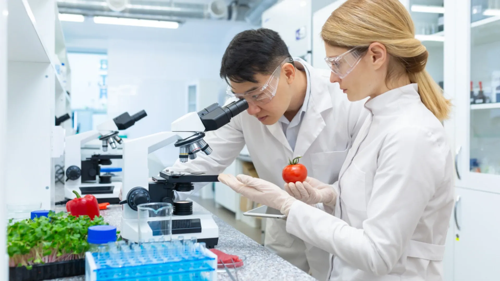 From Lab to Table: How Asia-Pacific’s Biotech Boom Is Powering the Future of Food