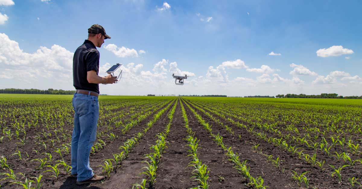 Red Sea Farms boasts a $16MN investment from Saudi, the USA, and the UAE