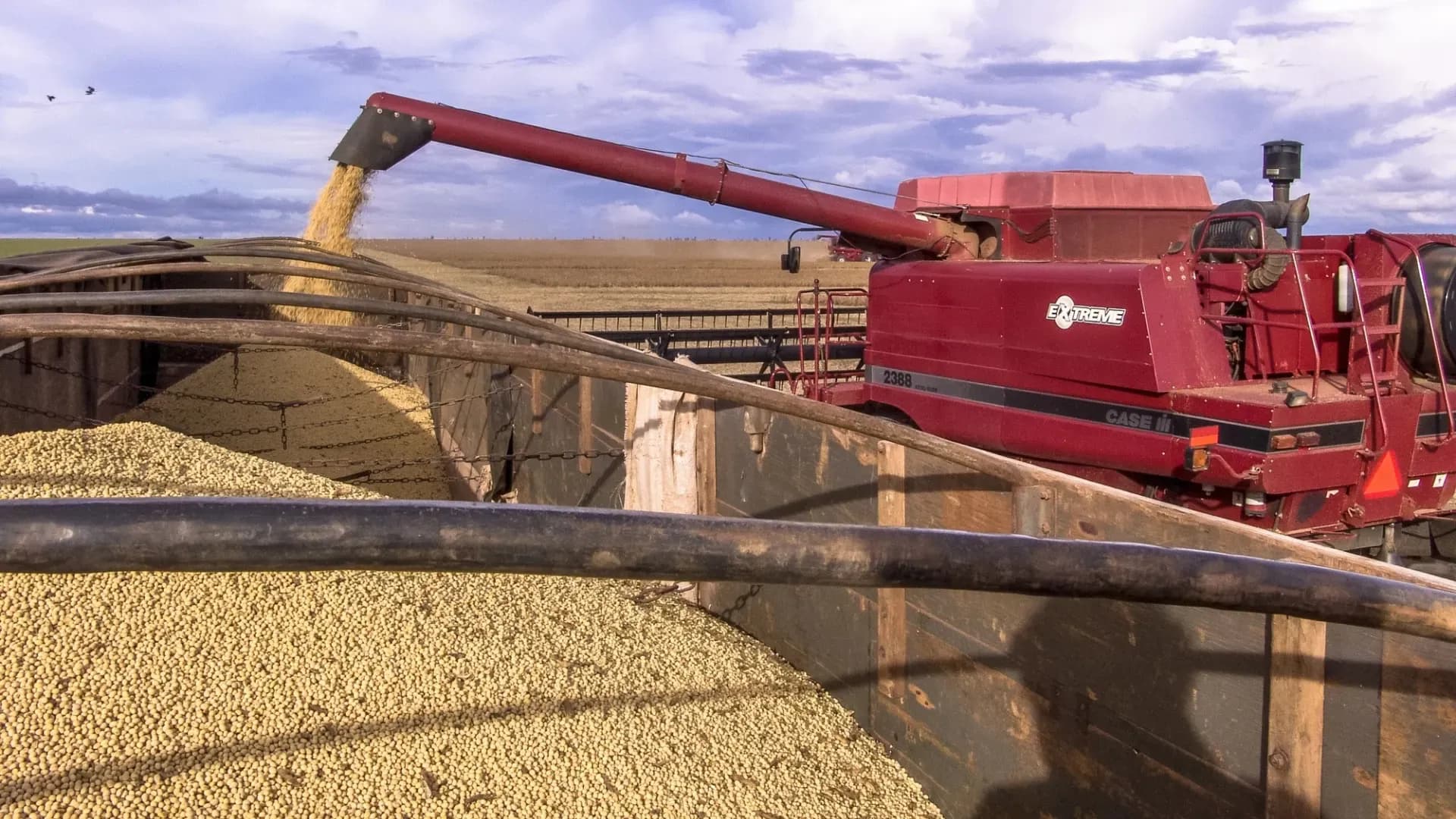 EU’s New Deforestation Rules Hurt Brazil’s Soymeal Exports But Help Argentina
