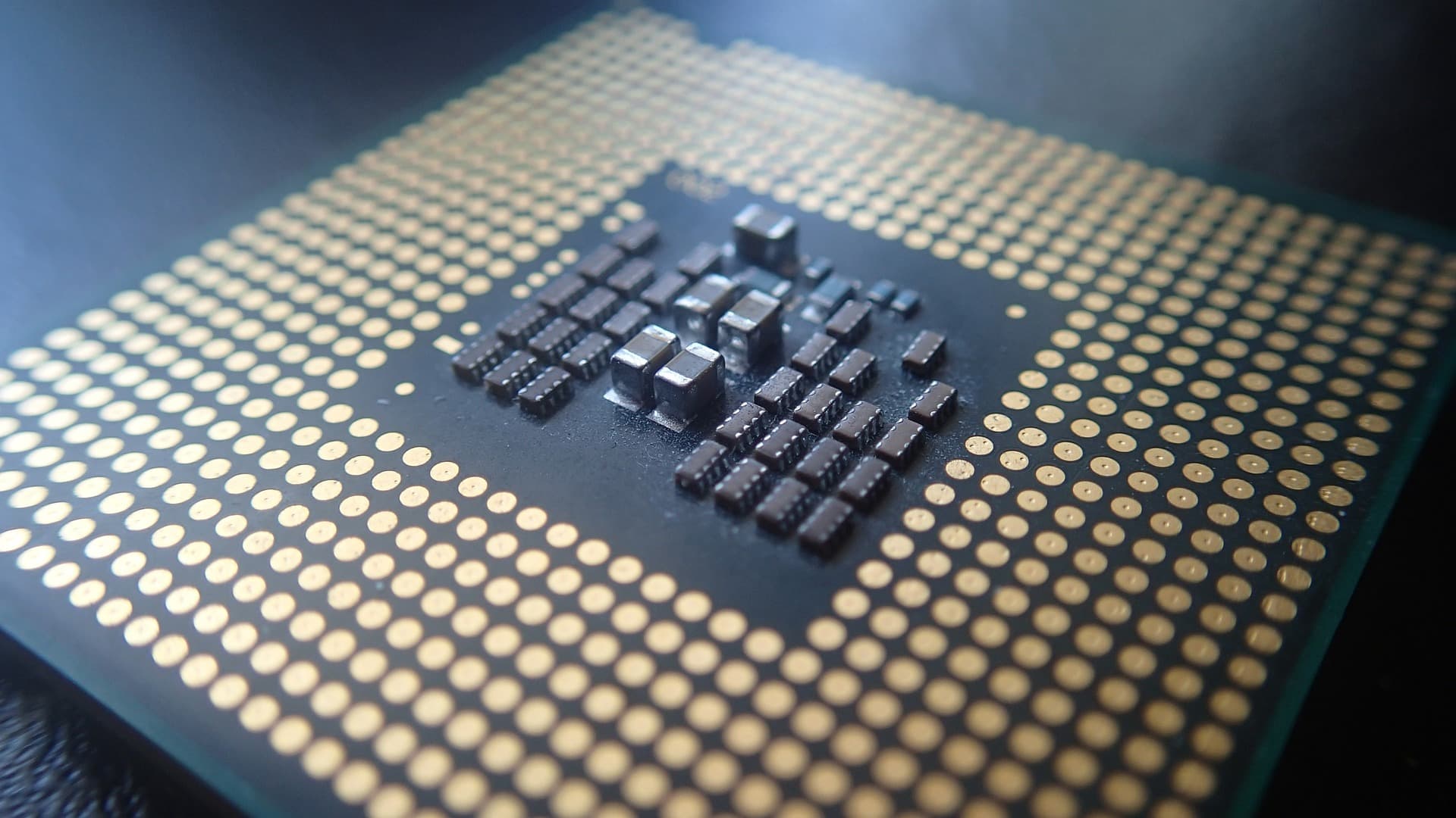The Tortoise of AMD Microprocessor Catching Up To The Rabbit of Intel