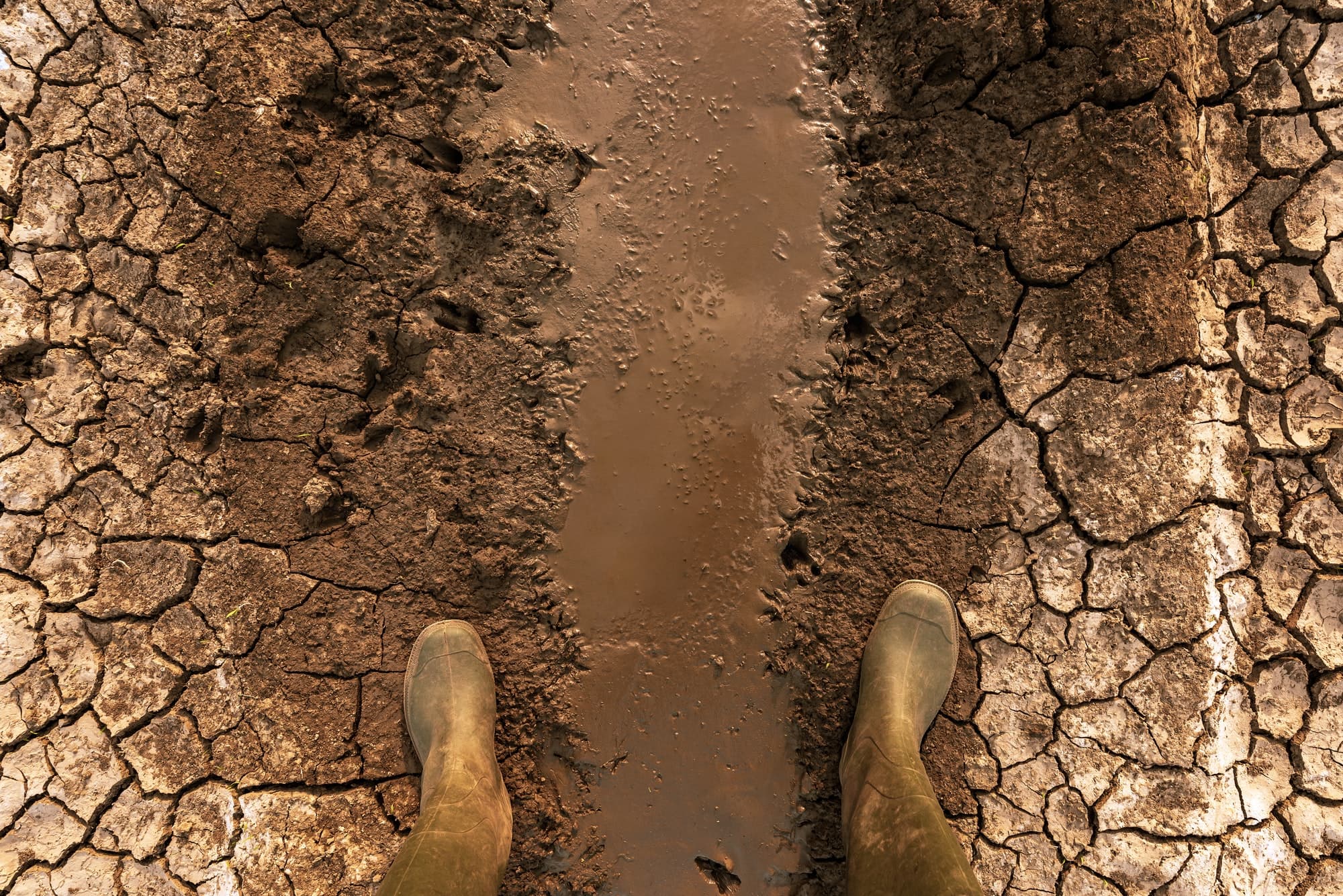 The perils of climate change on local real estate of countries