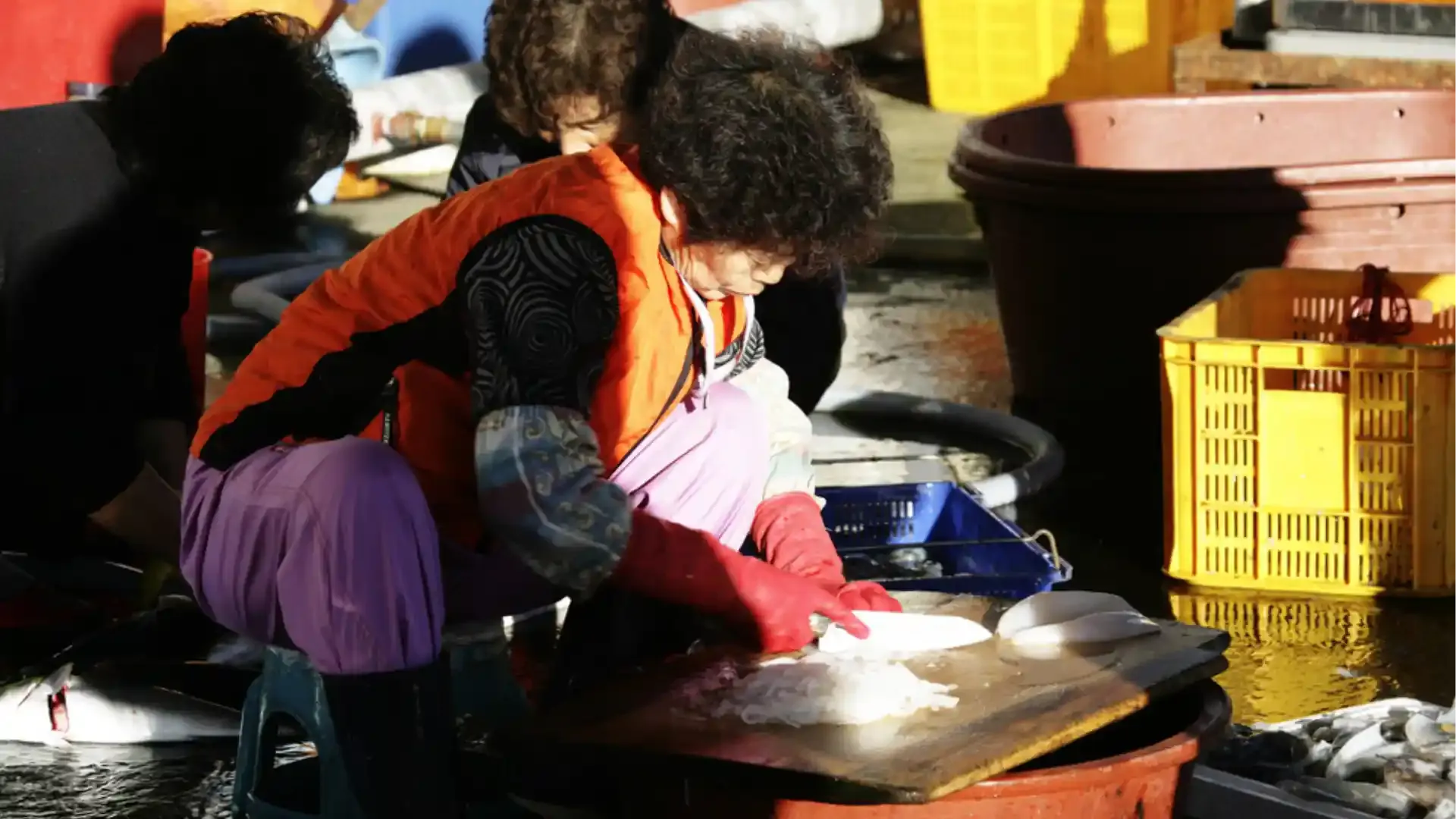Women of the Sea: Japan’s Female Fishers Step-Up to Save Drowning Industry