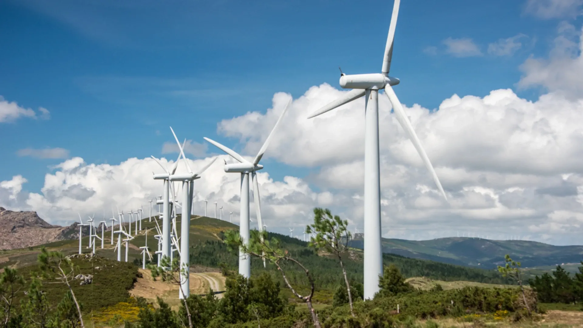 Green Hydrogen Ascendant: Can Asia-Pacific Redefine the Global Energy Order?