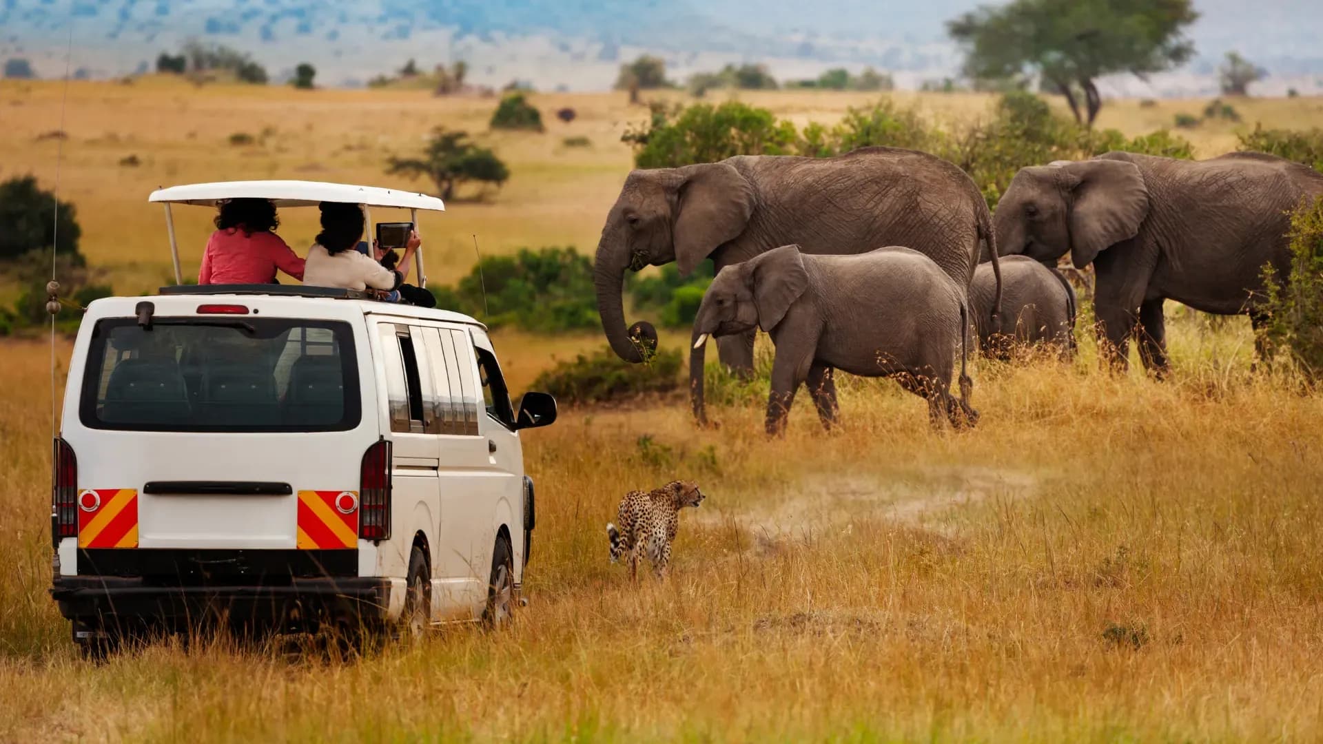 Kenya’s $160 Million Conservation Deal Targets Wildlife Protection and Community Benefits