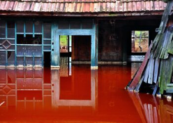 Ecological disaster. House flooded by contaminated water from a copper mine. Rosia Montana, Romania