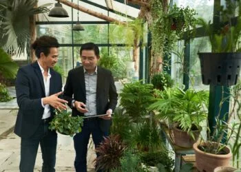 Entrepreneurs in orangery