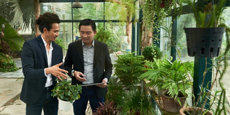 Entrepreneurs in orangery