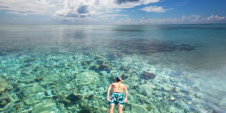 Tropical Paradise Maldives Reopens for Tourists 1 Maldives