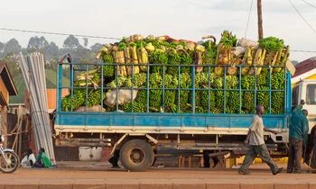 African Free-Trade Pact to Boost 30 Million People, World Bank Report States