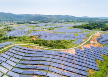 Wind and Solar Energy Take up 10% of World Electricity