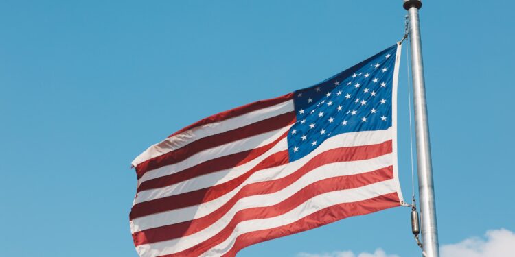 USA flags