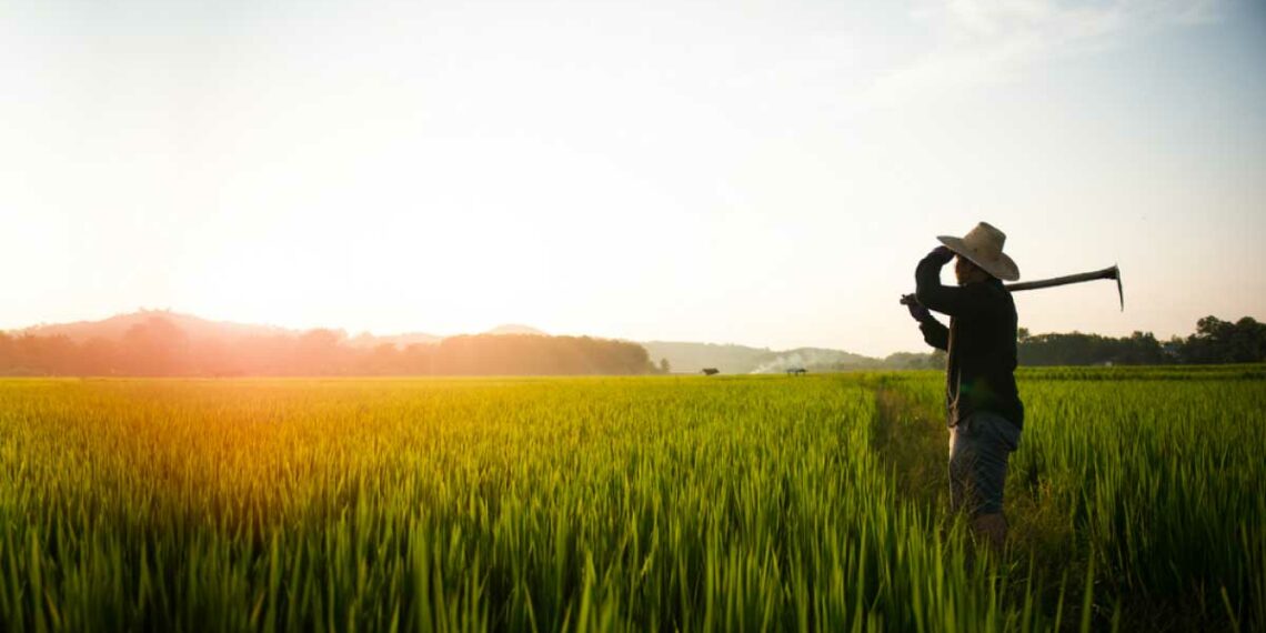 Israel’s agri-food technological intelligence boosts crop production in Southeast Asia 1 Israel’s agri-food technological intelligence boosts crop production in Southeast Asia