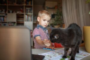 Distant education, true online education. Schoolchild studying with cat during lesson at home - The present Global challenges impacting the future