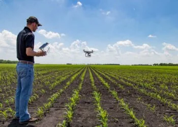 Red Sea Farms boasts a $16MIL investment from Saudi, the USA, and the UAE