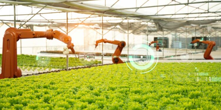 Brandon Alexander: ‘Iron Ox’s integration of robots with a hydroponic system diminishes water consumption by 90%’