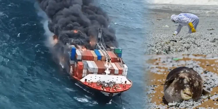 Nurdles: Sri Lanka’s worst maritime calamity came from the spilling of 87 containers full of nurdles