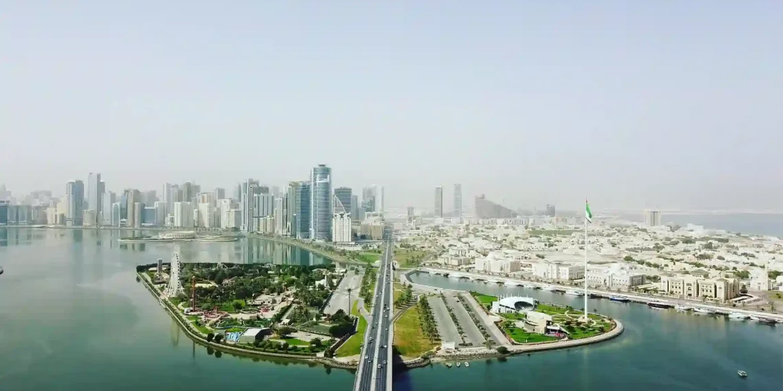 Saif Zone prevails with an array of successes; 36 new features added