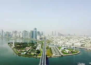 Saif Zone prevails with an array of successes; 36 new features added