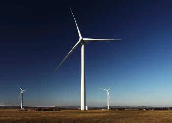 Green Policies and Renewable Energy are Here to Stay in 2022