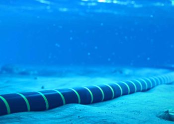 Brazil: Seaborn to facilitate connectivity through Record Control Byte; B3 and Seabras 1 Brasil LTDA approve