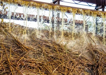 Brazil mills cancel new sugar export contracts, shift output to ethanol