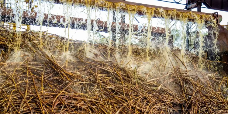 Brazil mills cancel new sugar export contracts, shift output to ethanol