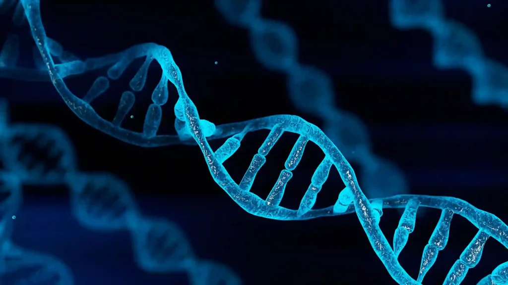 Heart attacks to end by editing human DNA