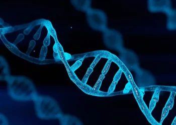 Heart attacks to end by editing human DNA