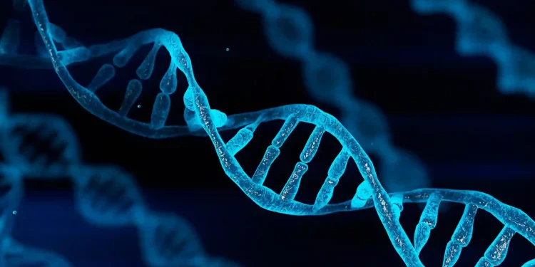 Heart attacks to end by editing human DNA