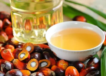 Malaysia may cut palm oil export tax by 50 percent amid global supply crisis