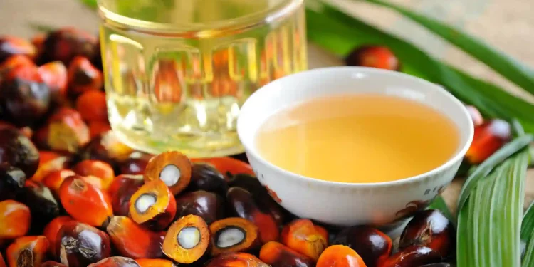Malaysia may cut palm oil export tax by 50 percent amid global supply crisis