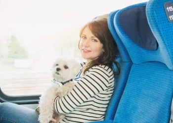 Renfe unveils its service to commute with large canines on the AVE