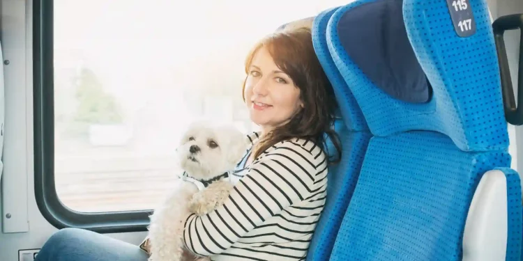 Renfe unveils its service to commute with large canines on the AVE
