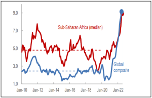 Sub-Saharan Africa: CPI Inflation, 2010–22 (Percent, year-on-year, dashed line = pre-COVID-19 average)                                                                    Source: International Monetary Fund