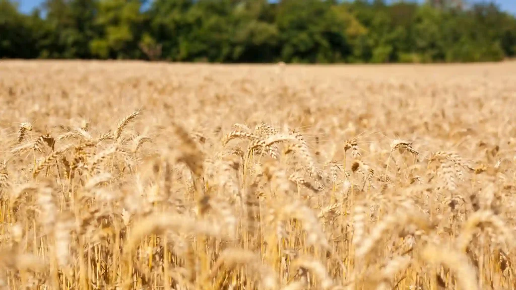 CSIRO announces $90m investment to expedite toward a low emissions economy