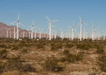 UAE and Egypt sign MoU to develop a 10GW onshore wind farm, making it one of the world’s largest wind projects in Egypt
