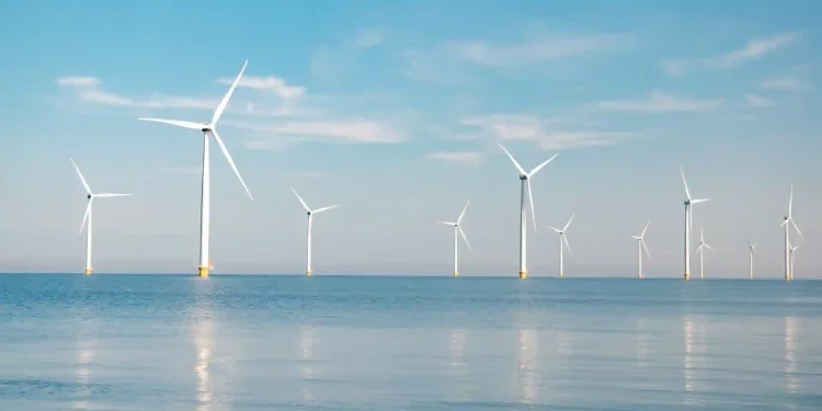 European Companies Throng the First-Ever Auction of California Wind Development Rights