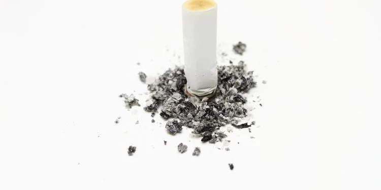 cigarette butt