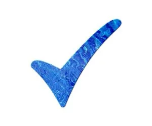 Meta Launches Paid Blue Tick-Verified IDs 2 Image showing a blue tick
