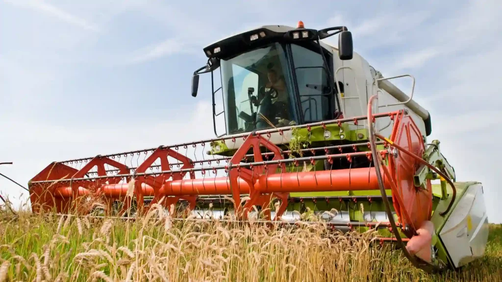 Poland & Hungary Ban Ukrainian Agricultural Imports Amid Oversupply Crisis