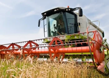 Poland & Hungary Ban Ukrainian Agricultural Imports Amid Oversupply Crisis