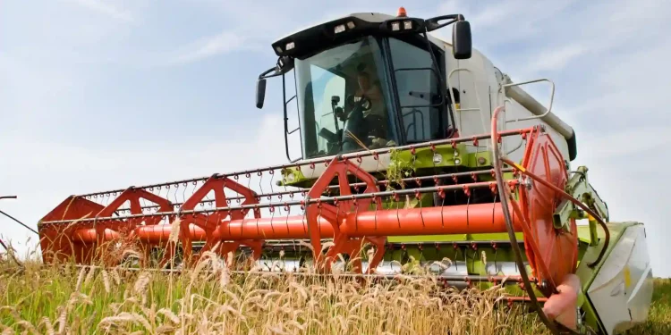 Poland & Hungary Ban Ukrainian Agricultural Imports Amid Oversupply Crisis