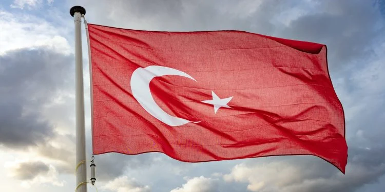 Turkey Presidential Election: Runoff Likely with Erdogan Taking Lead 