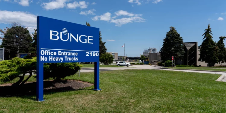 Viterra and Bunge will merge to form agricultural trading giant worth $34 billion
