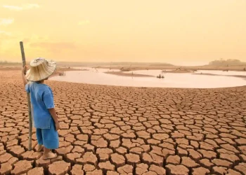 Overcoming Financial Inequalities in Climate Transitions of the Global South