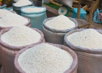 India’s Rice Export Ban Both Driver and Effect of the Global Food Crisis